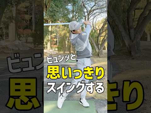 SHO-BLADE ショーブレード SI-01L ブルー（ロング/45インチ） – SHO