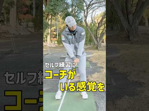 SHO-BLADE ショーブレード SI-01S ブルー（ショート/32インチ） – SHO